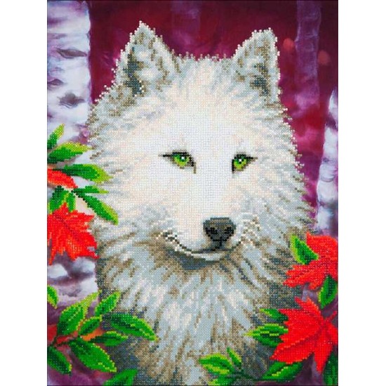 Diamond Art - Loup Blanc (17.3x21.7'')